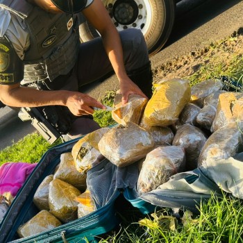 Polícia Militar Rodoviária prende boliviana em flagrante com skunk