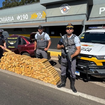 Ação conjunta prende traficante com quase meia tonelada de maconha