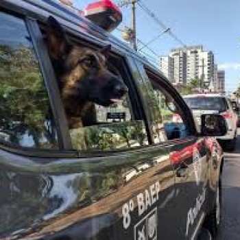 Durante operação em Tarabai, 8º BAEP apreende carga milionária de eletrônicos