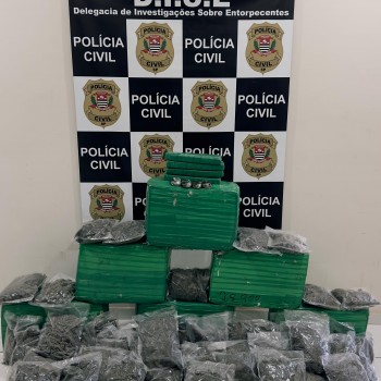 Mulher é presa em flagrante por transportar quase 200 quilos de droga