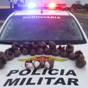 Polícia Militar Rodoviária prende passageiro que levava cocaína dentro de beterrabas