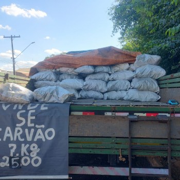 Polícia Militar Ambiental apreende carregamento com 2.800 quilos de carvão em Dracena