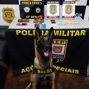 Polícia Civil deflagra operação Thundera e prende cinco por tráfico