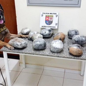 Passageiro adolescente transportava carga de maconha em mala