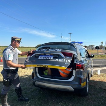 Polícia Militar Rodoviária prende flanelinhas por extorsão em via pública