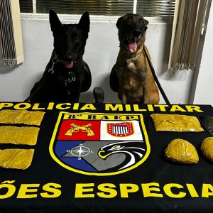 BAEP prende boliviana que transportava pasta base de cocaína atada a cintura