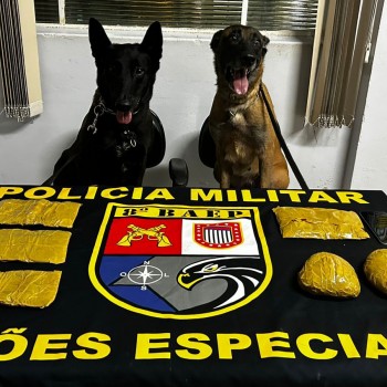 BAEP prende boliviana que transportava pasta base de cocaína atada a cintura