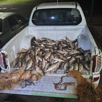 Polícia Militar Ambiental apreende mais de cem quilos de peixes nativos por captura proibida