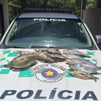 Pescador do município de Panorama é autuado por armazenar peixes nativos
