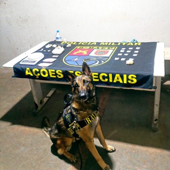 Em Patrulhamento em Assis, BAEP prende casal por tráfico de entorpecentes