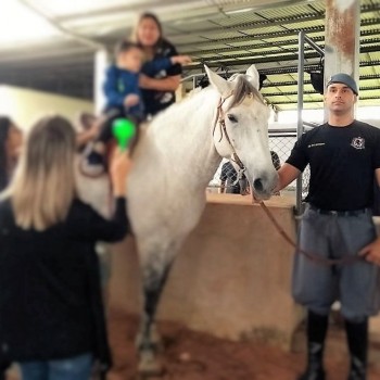 Cavalaria do BAEP retoma, em setembro, trabalhos de equoterapia