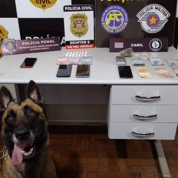 Operação ‘Shot Down Own’, em Presidente Venceslau prende nove por tráfico