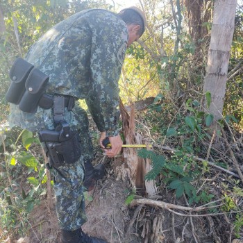 Polícia Militar Ambiental autua fazendeiro por degradar área de preservação permanente