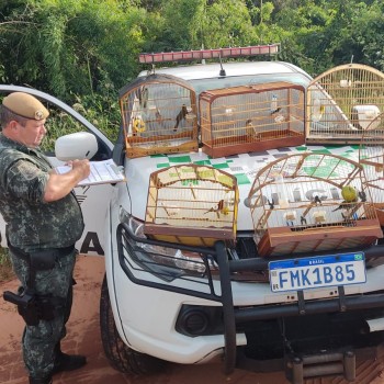 Morador de Taciba é multado por manter aves silvestres em cativeiro