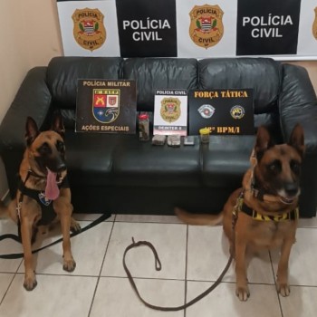 Em ação contra o tráfico, Polícia Civil prende homem em flagrante em Epitácio