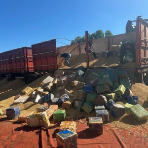 Polícias Civis de SP e MS apreendem carga com 7,2 toneladas de maconha