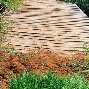 Em Tupi Paulista, arrendatária de 31 anos é autuada por degradar área ade preservação